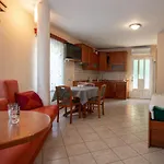 Kocanija 3*